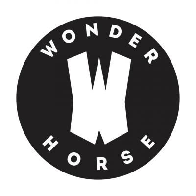 Wonderhorse - image 1