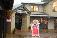 The Dog & Duck Restaurant & Bar - image 1