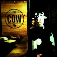 Kaukapakapa Hotel (The Cow) - image 3