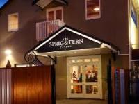 Sprig & Fern Motueka