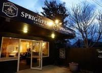 The Sprig and Fern Tavern - image 1